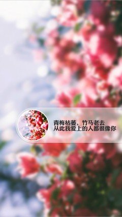 我爱的句子