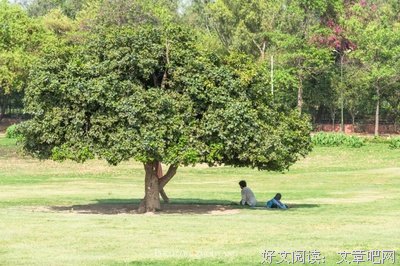 最全的甘地的名言