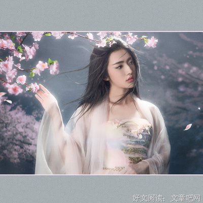 关于白浅名言