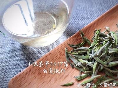 最全的白茶名言