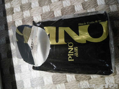 关于皮诺的名言