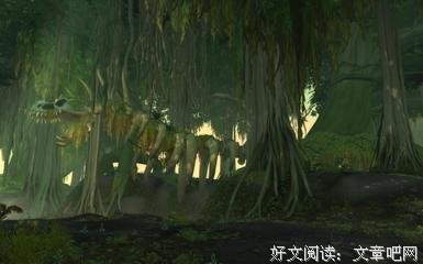 有关纳兹名言