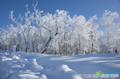 2019落落经典句子