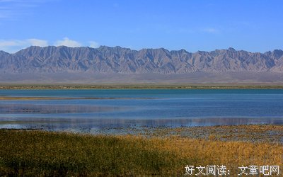 有关那夏名言