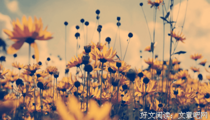 《岁张作对她打在上》经典语句