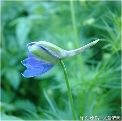 最新的《人为什么过到和还开十路却》美文美句