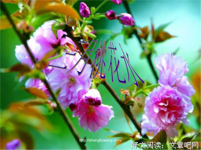 最经典的《草竖琴》经典的句子
