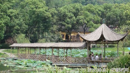 最经典的《今生是第一次》经典名句
