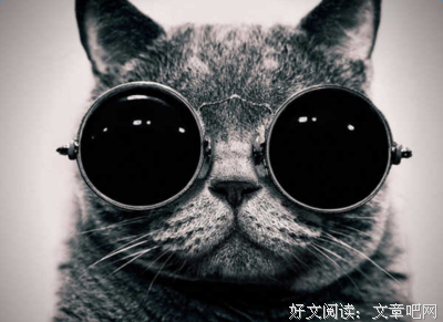 最全的《螺旋不为时而起你谜》语录摘抄