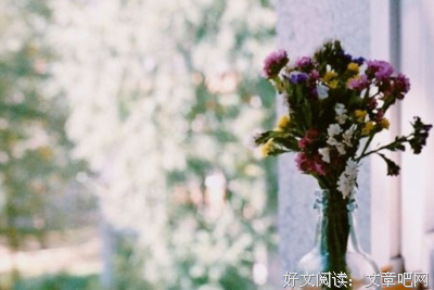 最全的《不是尘埃》经典语录大全