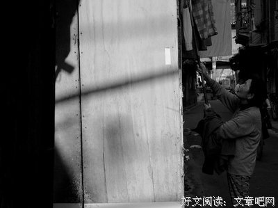 最经典的《郑爽的书》经典的句子