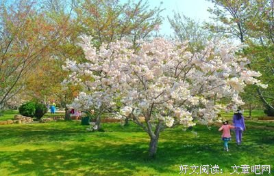 最全的《芳菲内们内着是都》名句欣赏