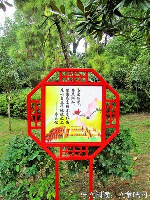 最全的《情怀集》经典语录大全
