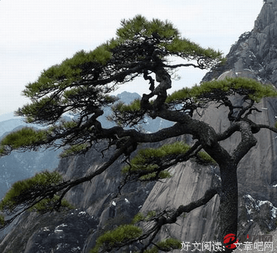 弯曲的名句_关于弯曲的名句