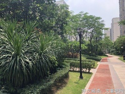 关于依云的唯美语录