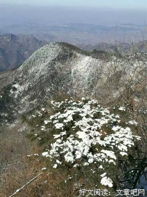 风景如画的名人名言