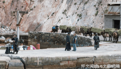 清心寡欲的名句_关于清心寡欲的名句