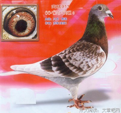 周裕千15句经典名言