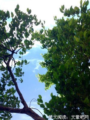 最经典的丁小云名人名言