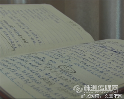 《初恋》小说摘抄