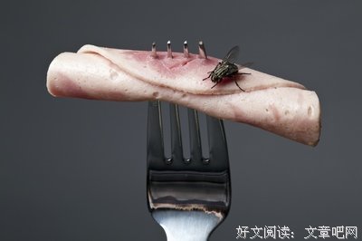《卧底》经典语录