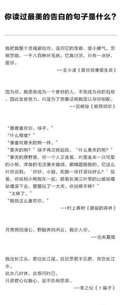 最经典的《告白》小说摘抄
