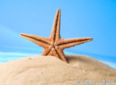 “我不喜欢自己的懂事。”