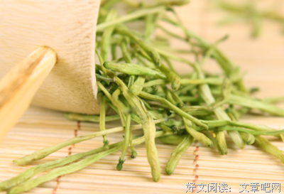最全的《忍冬》经典语句