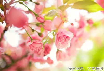 最新的《房间》经典语句