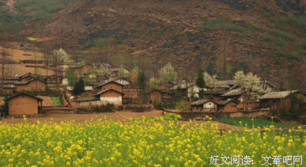 最经典的《故乡》小说句子