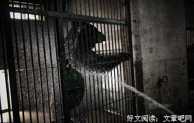 星辟谣 | emmmm，这才是真正的水瓶座