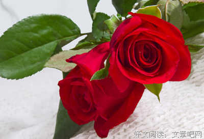 杂优美的句子