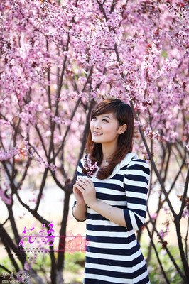 花解语