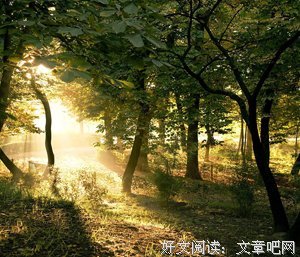 深知是梦。（憧憬未来）的句子