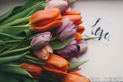 一谈恋爱，整个人都不好了
