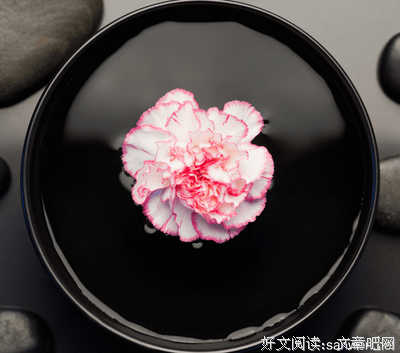 作想的魔，句子