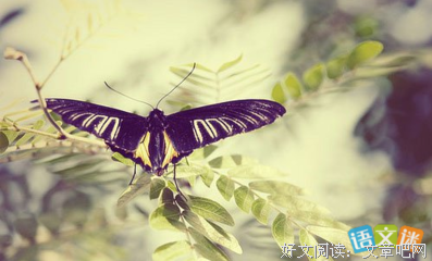 唯你。。挚爱的句子