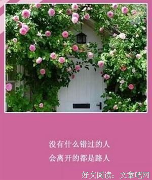 有关夏风颜精彩语录