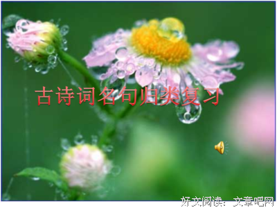 最经典的春风遥名言
