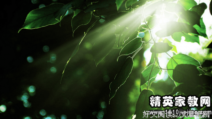 《活着》小说句子