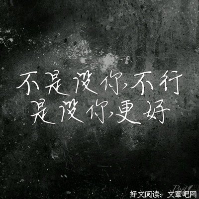 最新的《滨虎》经典语录
