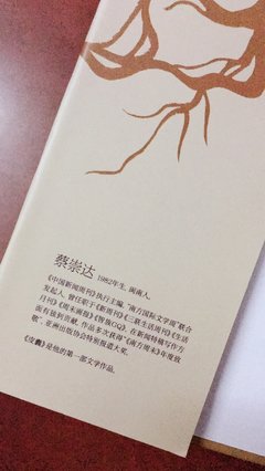 最新的《皮囊》经典的句子