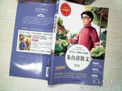 最全的《目送》散文美句大全