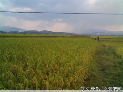 最全的《网摘》语录摘抄