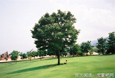 最经典的《说说》语录摘抄