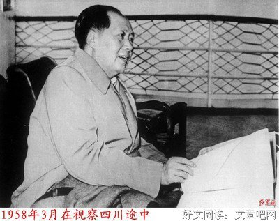 最经典的《麻雀》经典语句大全