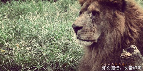 关于出生入死的格言