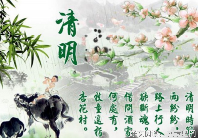 关于木莲的语句