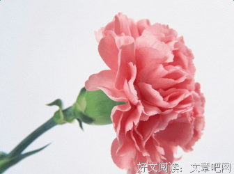 关于动人的句子