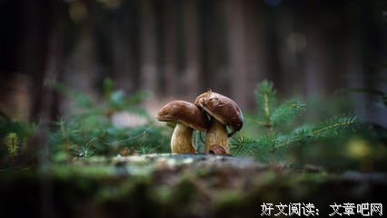 泪点…句子大全